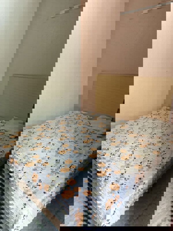 4 BHK 300 Sq.Yd. Apartment in Sai Homes Sector 49