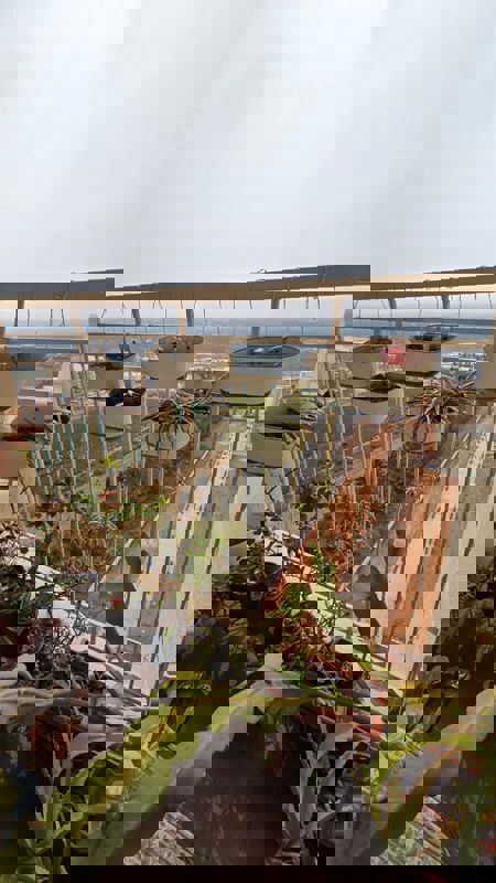 2 BHK + Pooja Room,Basement 1100 Sq.Ft. Apartment in Prestige Finsbury Park Hyde