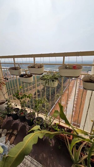 2 BHK Apartment For Rent in Prestige Finsbury Park Hyde, Bagaluru