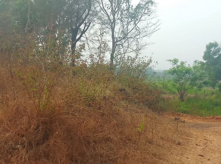 undefined, uran  1089 Sq.Ft. Plot In Uran Navi Mumbai 10057189