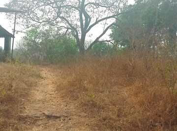 Plot Area in  Plot at Uran – for Sale