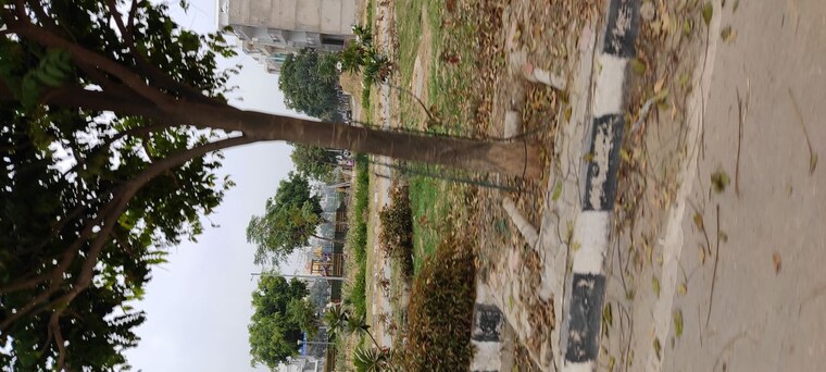 Garden, mullanpur  300 Sq.Yd. Plot In Mullanpur Chandigarh 10057193