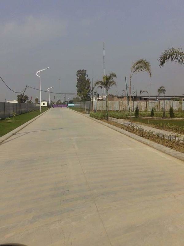 Plot For Sale in Mullanpur