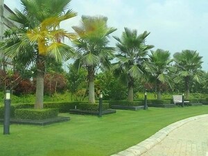  Plot – Exterior View View at Mullanpur - for Sale