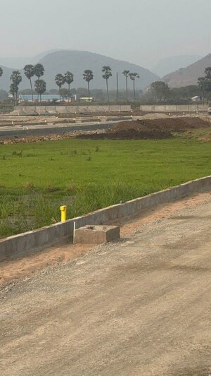 Plot Area in  Plot at Pathapadu – for Sale