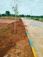 170 Sq.Yd. Plot in Ramanuthula