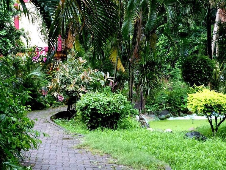 Garden, signature-global-synera 1.5 Bedroom 440 Sq.Ft. Apartment In Sector 81 Gurgaon 10057397