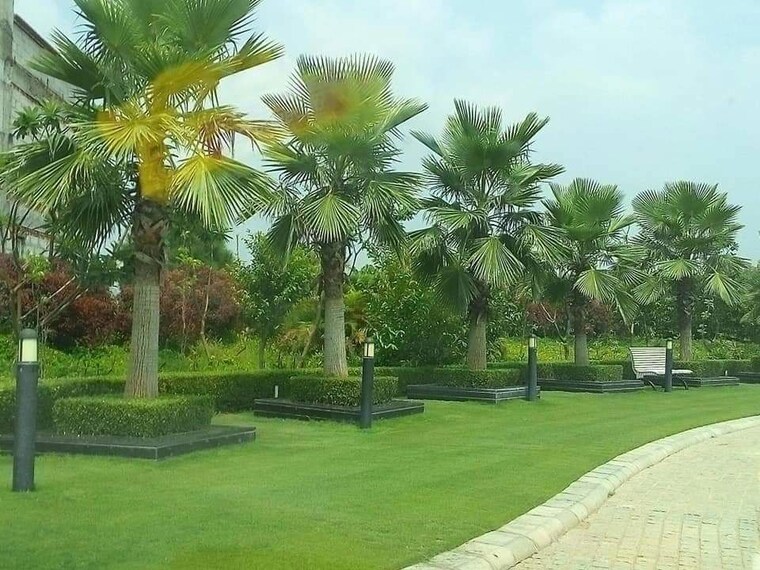 Garden, omaxe-new-chandigarh  500 Sq.Yd. Plot In North Mullanpur Chandigarh 10053433