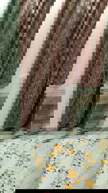 2 BHK 152 Sq.Yd. Apartment in Spectrum Metro