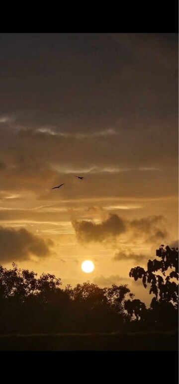 1 BHK Independent House – Exterior View View at Kurla West - for Rent