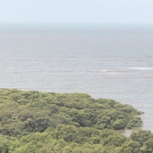  6+ BHK Apartment at Bandra West – for Sale