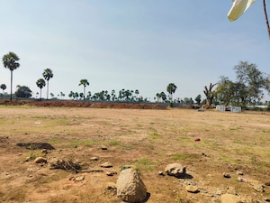 Plot Area in  Plot at Tdi City – for Sale