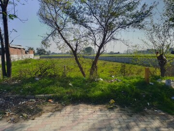  Land For Sale in LudhianA-Chandigarh Hwy