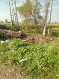 Land For Sale in Ludhiana-Chandigarh Hwy