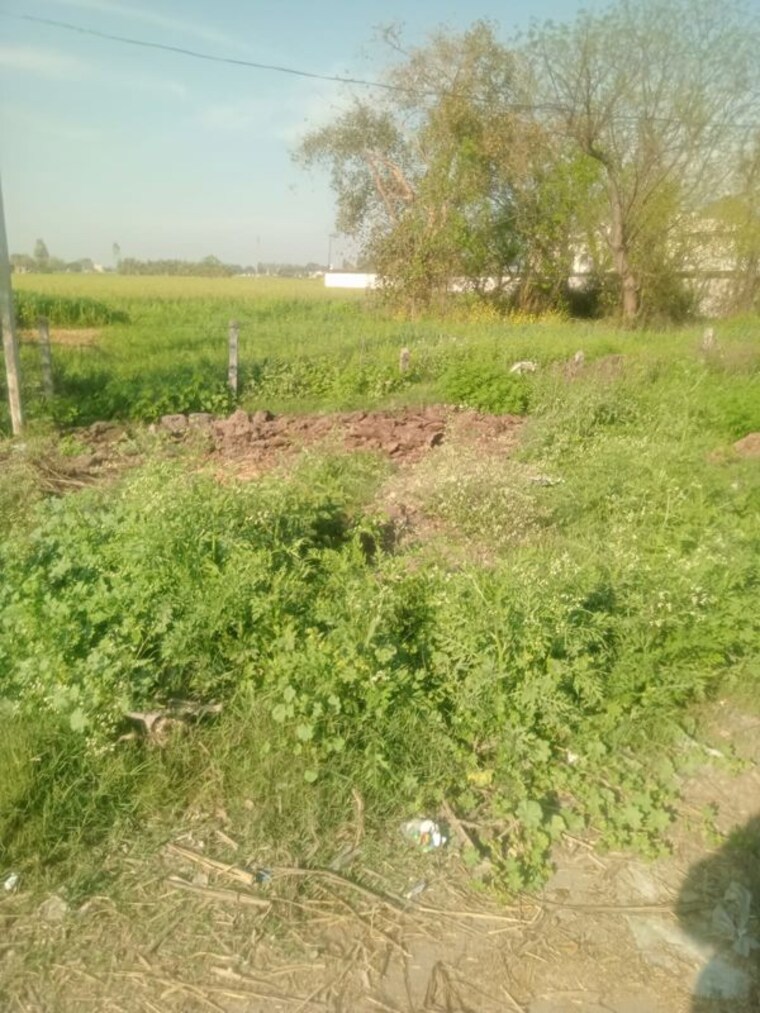 undefined, ludhiana chandigarh hwy Commercial Land 3 Acre In LudhianA Chandigarh Hwy Mohali 10058426