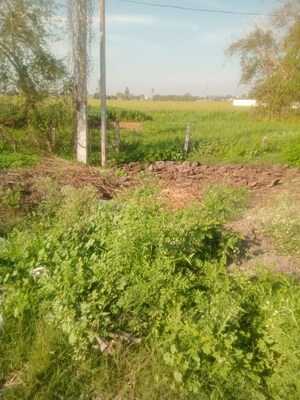 Plot Area in  Land at LudhianA-Chandigarh Hwy – for Sale