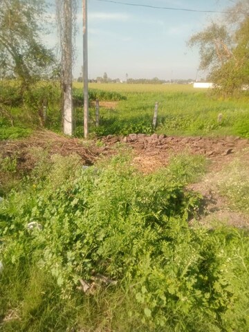 Plot Area in  Land at LudhianA-Chandigarh Hwy – for Sale