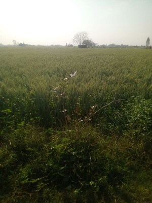  Land For Sale in Aerocity