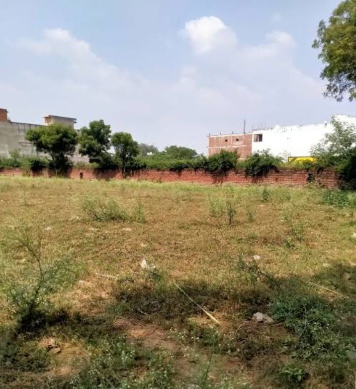 Plot For Sale in Sector 77