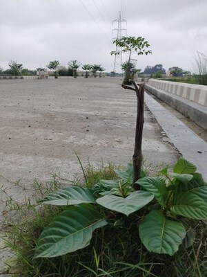  Plot – Exterior View View at Eco Green Village, Faizabad Road - for Sale