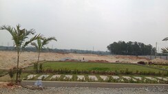 Plot For Sale in Jigani