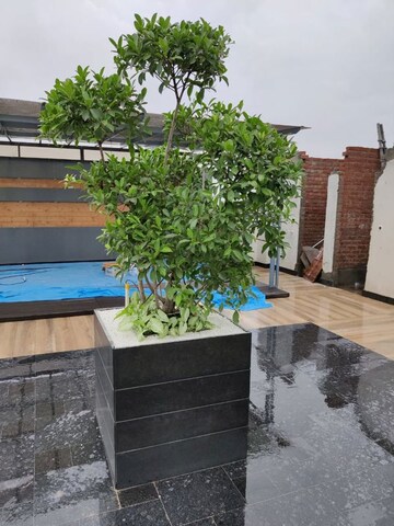 Terrace in 4 BHK Apartment at Greater Kailash I – for Sale