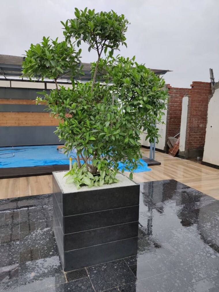Terrace, greater kailash i 4 Bedroom 2800 Sq.Ft. Apartment In Greater Kailash I Delhi 10059681