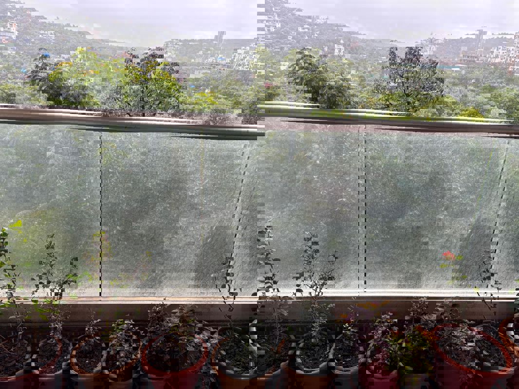 2 BHK + Servant Room 1000 Sq.Ft. Apartment in Axis Paradigm Whistling Meadows