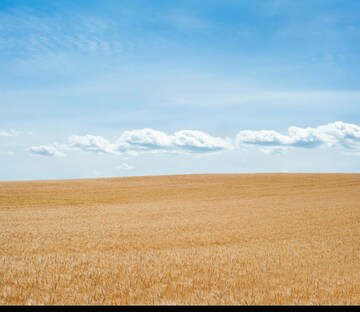 Plot Area in  Industrial Plot at GYGY Mentis, Sector 140 Noida – for Rent