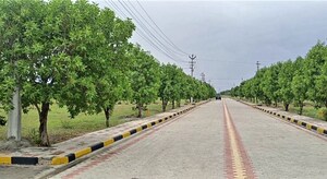  Plot – Exterior View View at Gowdavalli - for Sale