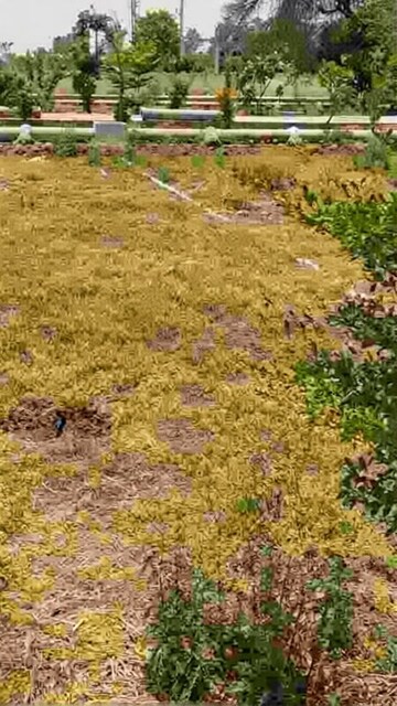  Plot – Exterior View View at Barela - for Sale