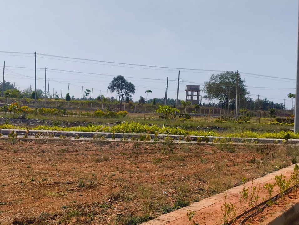 Plot For Sale in Alagodanahalli