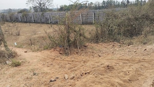 Plot Area in  Plot at Kongara Kalan – for Sale