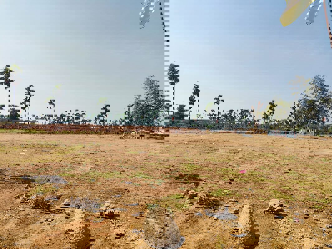 Plot Area in  Plot at Modipuram – for Sale