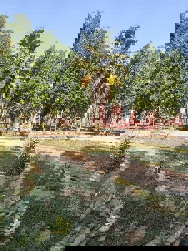  Plot – Garden View at Phaltan - for Sale