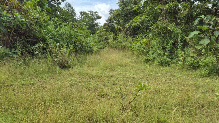 undefined, majra  1000 Sq.Ft. Plot In Majra Dehradun 10062590