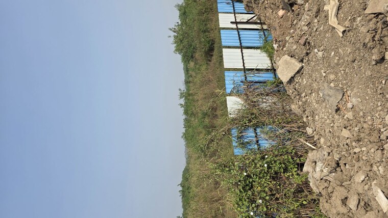 Garden, majra  1000 Sq.Ft. Plot In Majra Dehradun 10062590