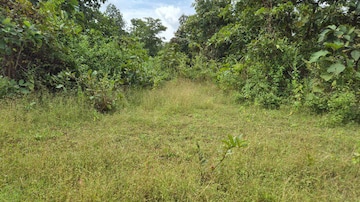 Plot Area in  Plot at Majra – for Sale