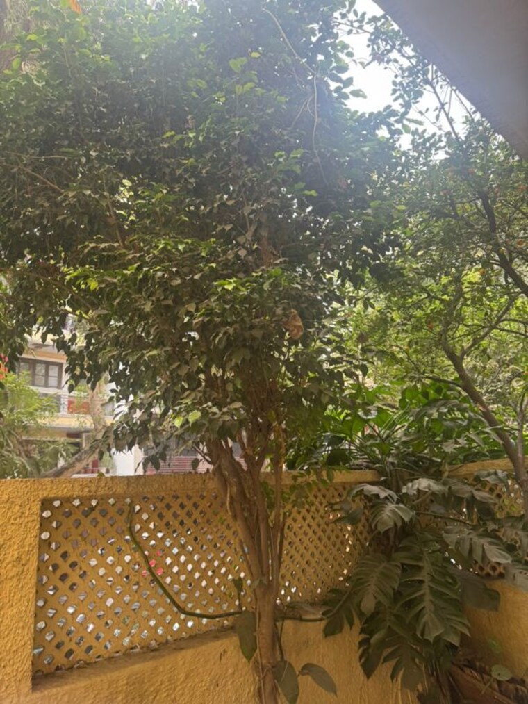 Garden, gulmohar park 3 Bedroom 300 Sq.Yd. Apartment In Gulmohar Park Delhi 10063304