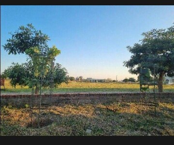  Plot For Sale in Gillco Valley, Mohali Sector 127