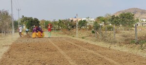 Plot Area in  Plot at Trimbak – for Sale