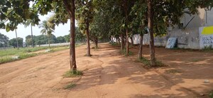 Plot Area in  Plot at Shadnagar – for Sale