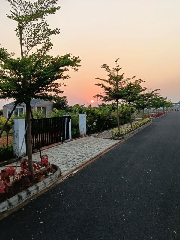 Plot For Sale in Shadnagar