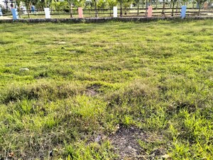  Plot – Exterior View View at Mansanpalle - for Sale