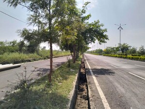  Plot For Sale in Raja Bhoj Airport Area