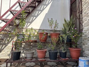 2 BHK Builder Floor – Exterior View View at Sector 22 - for Rent