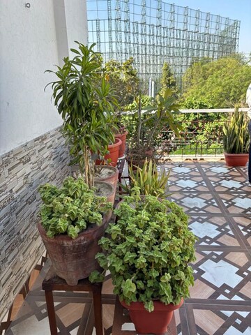 Balcony in 2 BHK Builder Floor at Sector 22 – for Rent