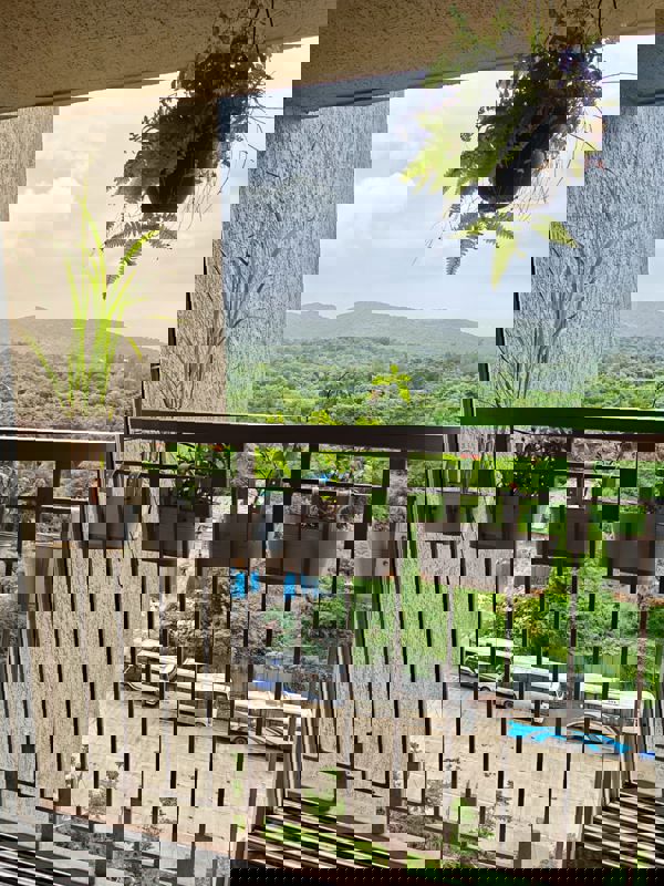 1 BHK 430 Sq.Ft. Apartment in Vihang Valley Phase 3