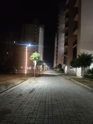 2 BHK Apartment For Rent in Ansal API Olympus Lake View, Sushant Golf City