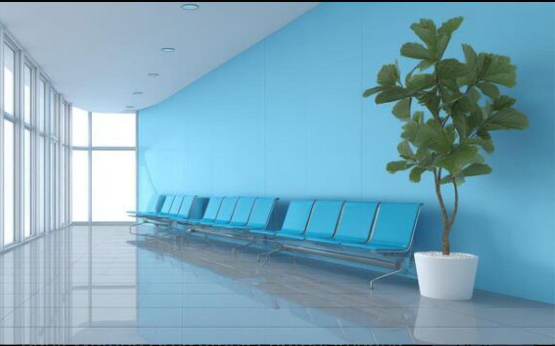 Office Space For Rent in RWA Apartments Sector 51
